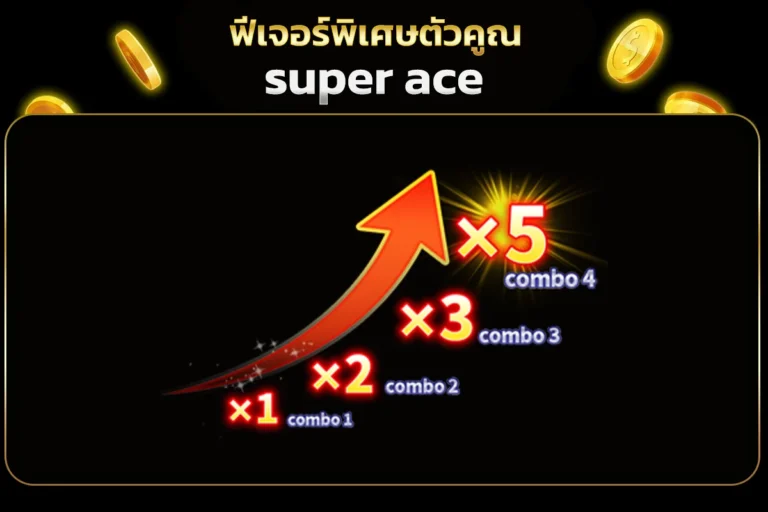 ฟีเจอร์พิเศษตัวคูณ